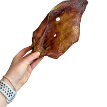 XL Sow Ears (HUGE)