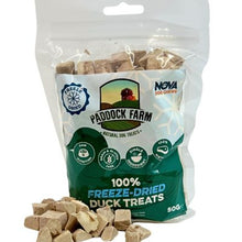 Freeze-Dried Treats