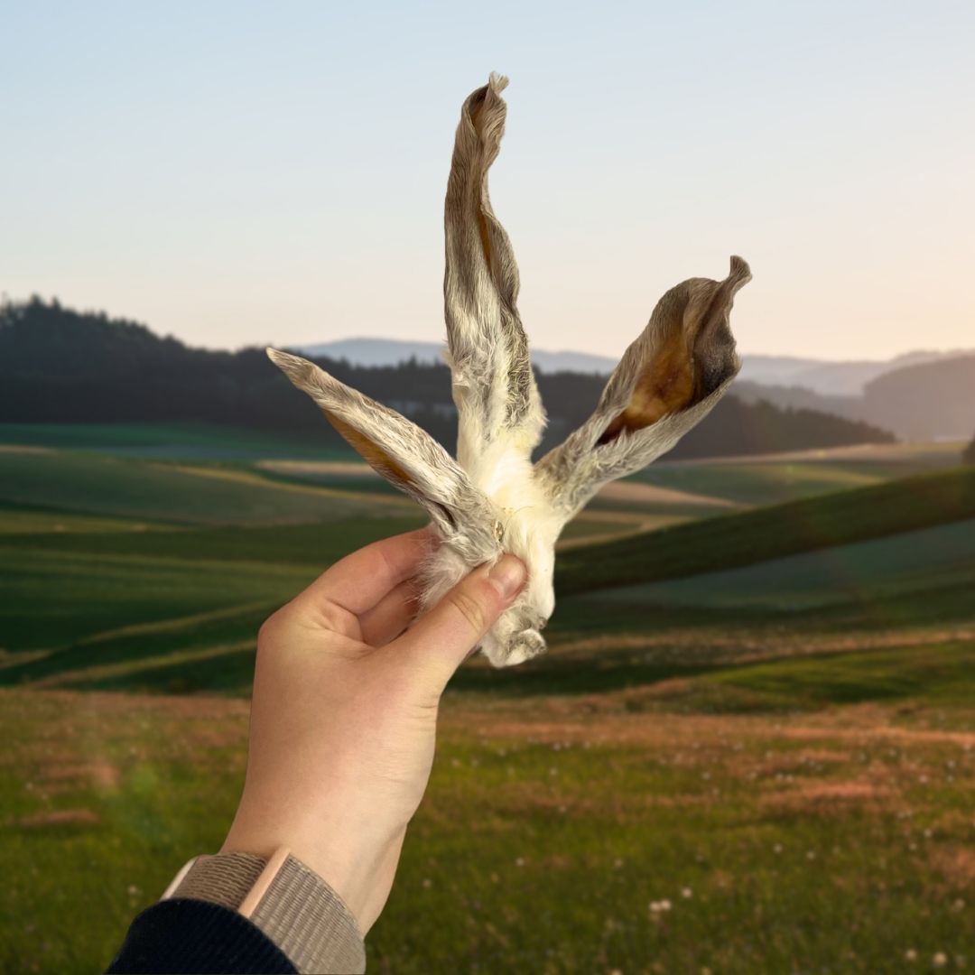 Rabbit Ears (500g or 1kg)