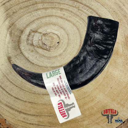Nova Buffalo Horns