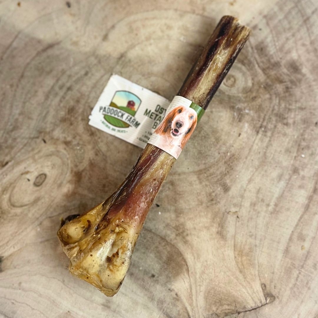 Ostrich Bones