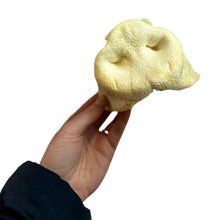 Puffed Pig Snouts