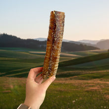 Beef Trachea (12cm or 24cm)